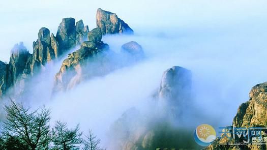 ��ׯ��ʲô�����