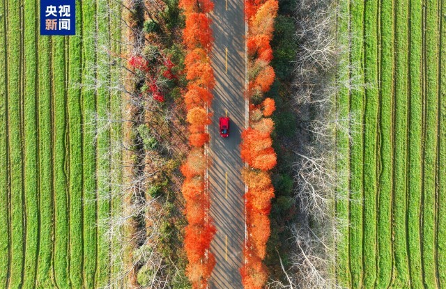 ��ׯ���ξ���