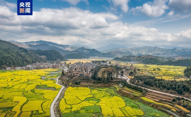 ��ׯ���ξ���