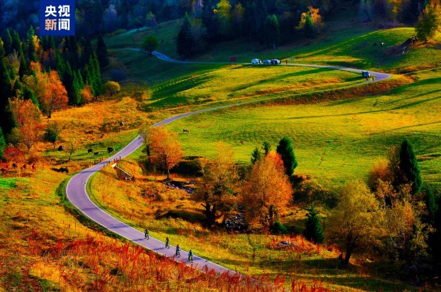 ��ׯ���ξ���