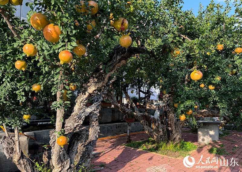 ��ʯ�񻭳ɡ���ɽ��